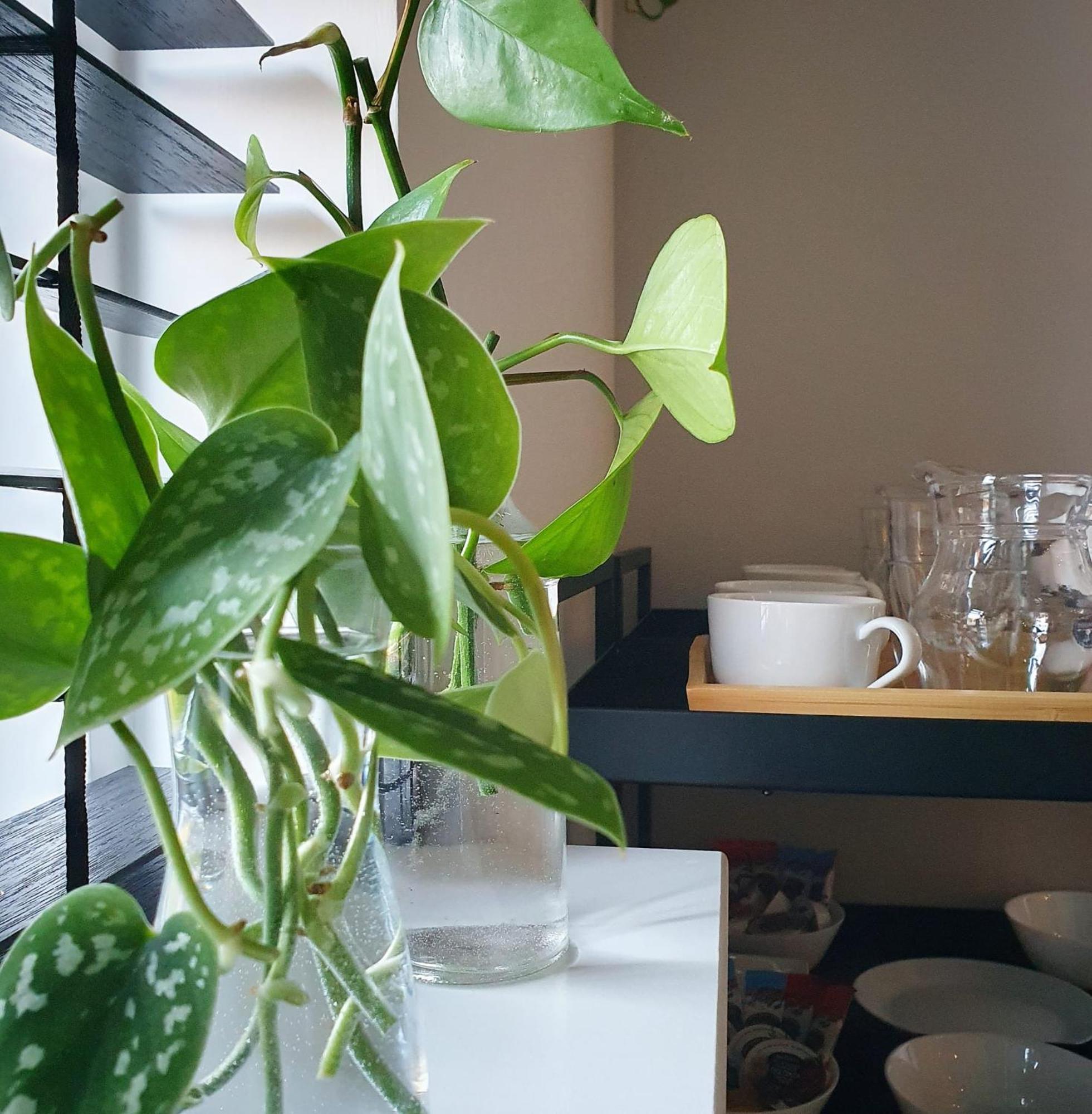 Bed And Breakfast 'Wij En De Zande' - Kamer Met Vide Kamperveen Extérieur photo